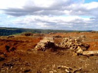 /album/galeria-de-fotos-desmatamento/dsc00339-jpg1/