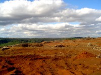 /album/galeria-de-fotos-desmatamento/dsc00340-jpg1/