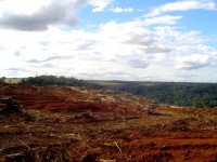 /album/galeria-de-fotos-desmatamento/dsc00341-jpg1/