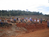 /album/galeria-de-fotos-desmatamento/img-0788-jpg1/