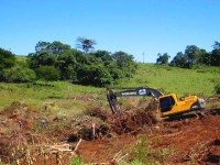 /album/galeria-de-fotos-desmatamento/img-1358-jpg1/